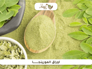 ما هي اوراق المورينجا وما فوائدها واستخداماتها؟